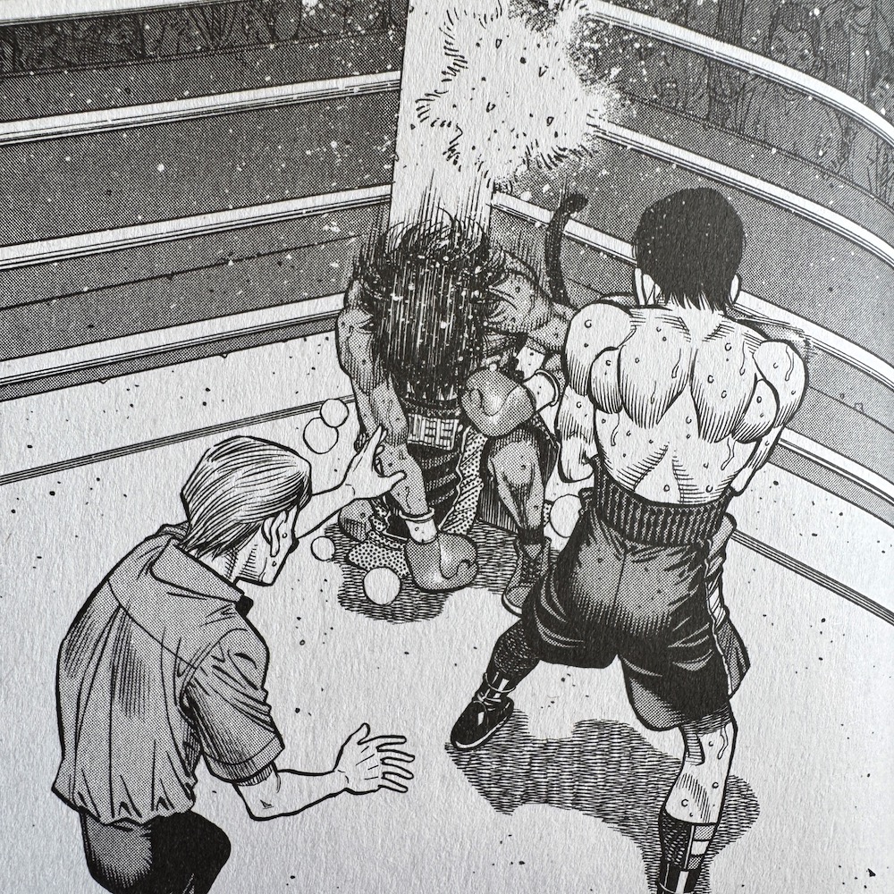 Ippo-28-9_1000x1000.JPG